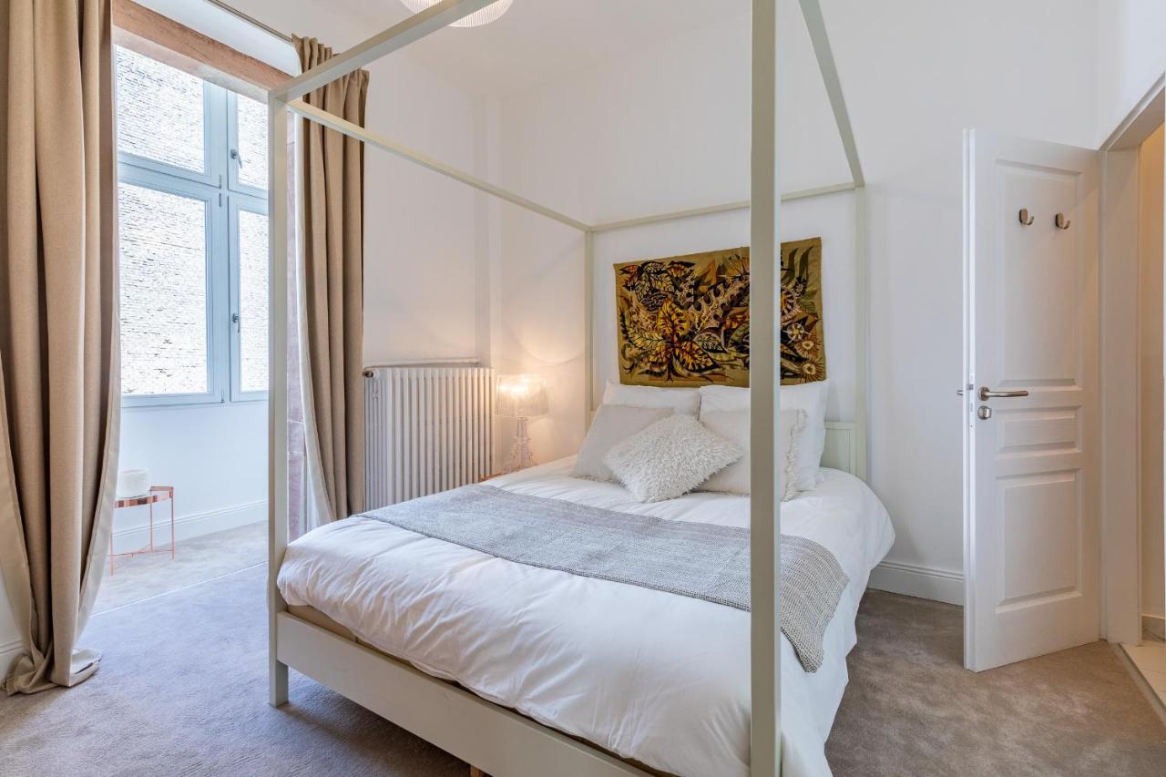 Luxueux Appartement Centre Ville Страсбург Екстериор снимка
